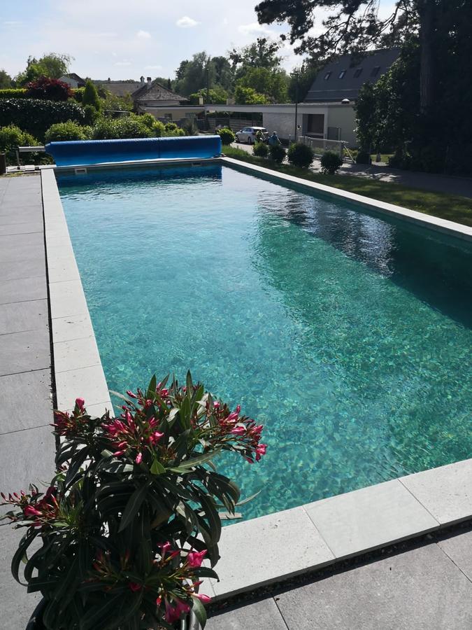Morat Gaste Zimmer Murten Exterior foto